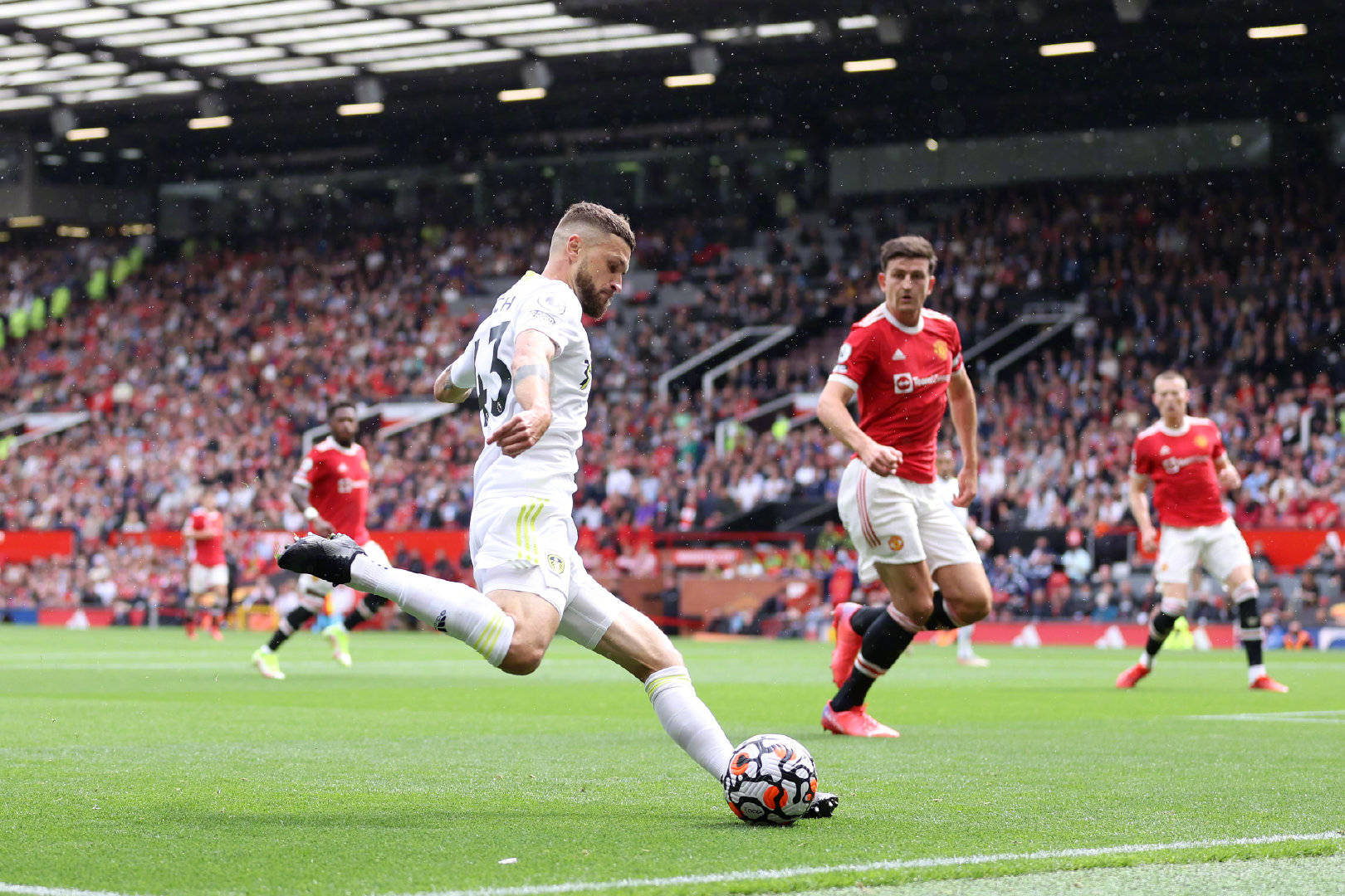 政府政策的 政府政策的