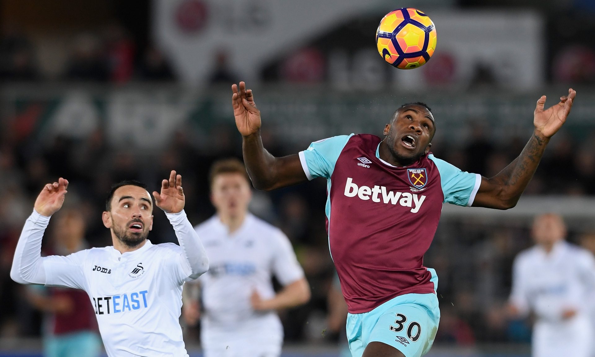 赛游泳金牌 赛游泳金牌